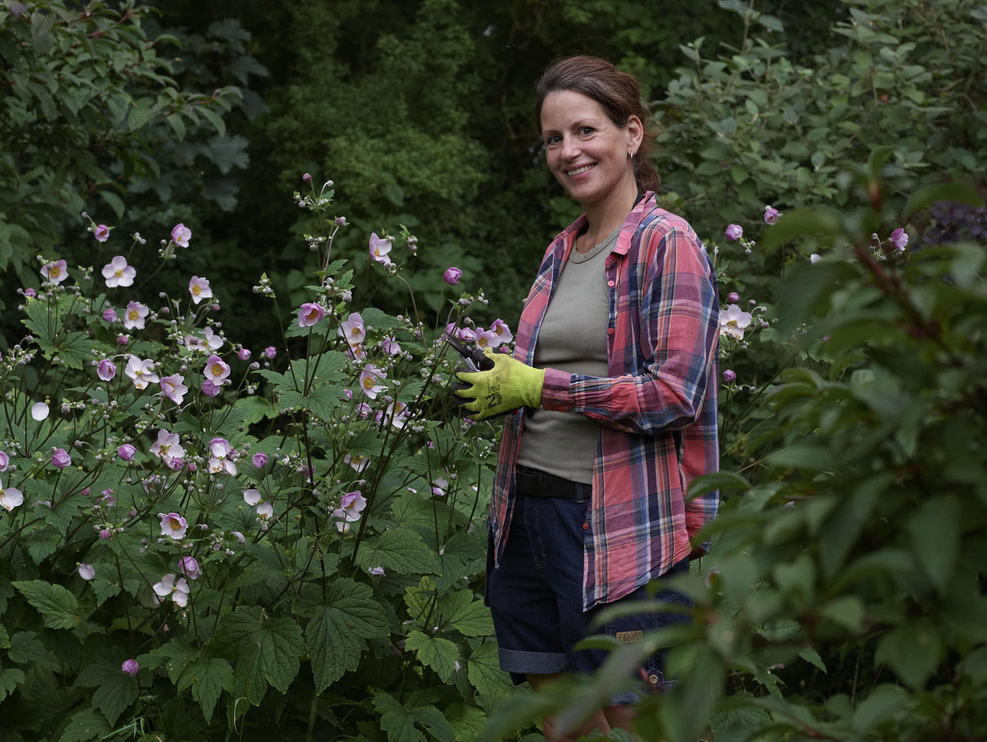 Veronika bland rosa blommor i en grönskande trädgård